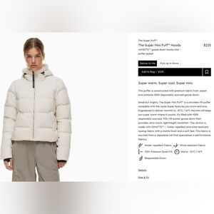 Aritzia The Super Mini Puff Hoody